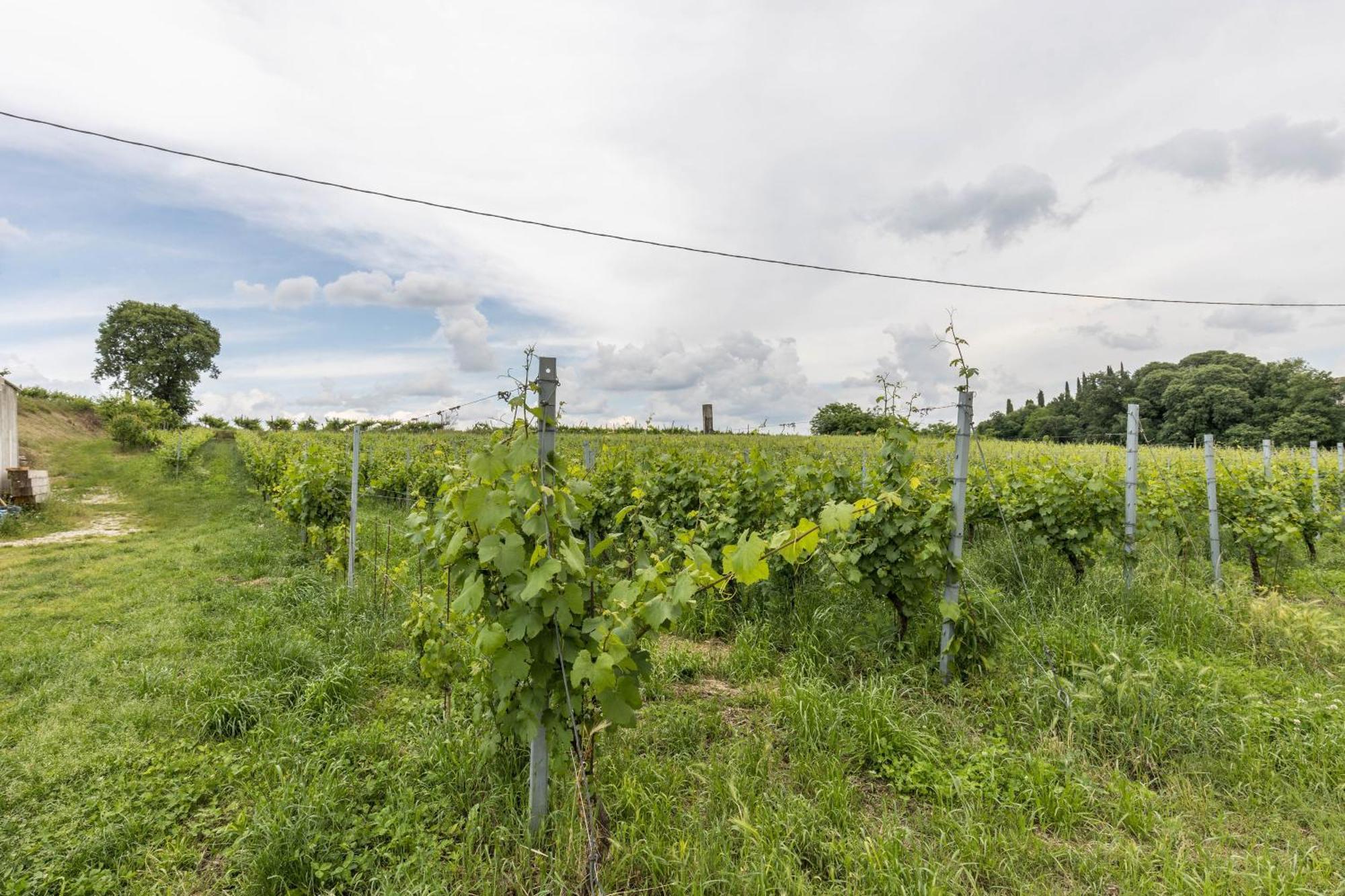 Country Agritur Tenuta Corte Tese 2 Apartment Sona Exterior photo